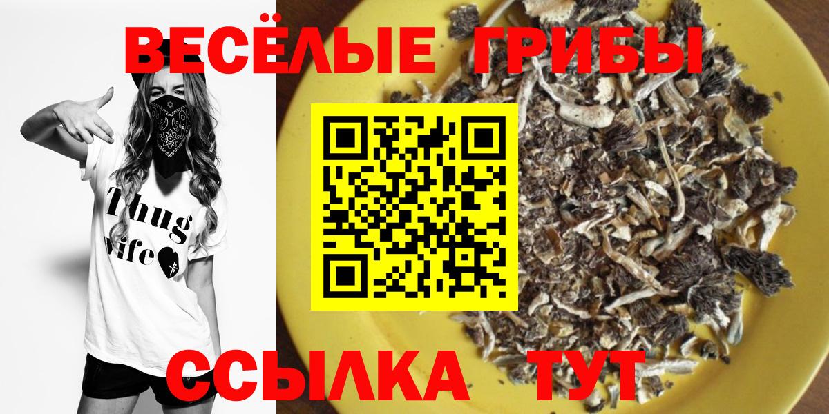 Чистополь  Галлюциногенные грибы прущие грибы  дарнет шоп  Вход с VPN 
