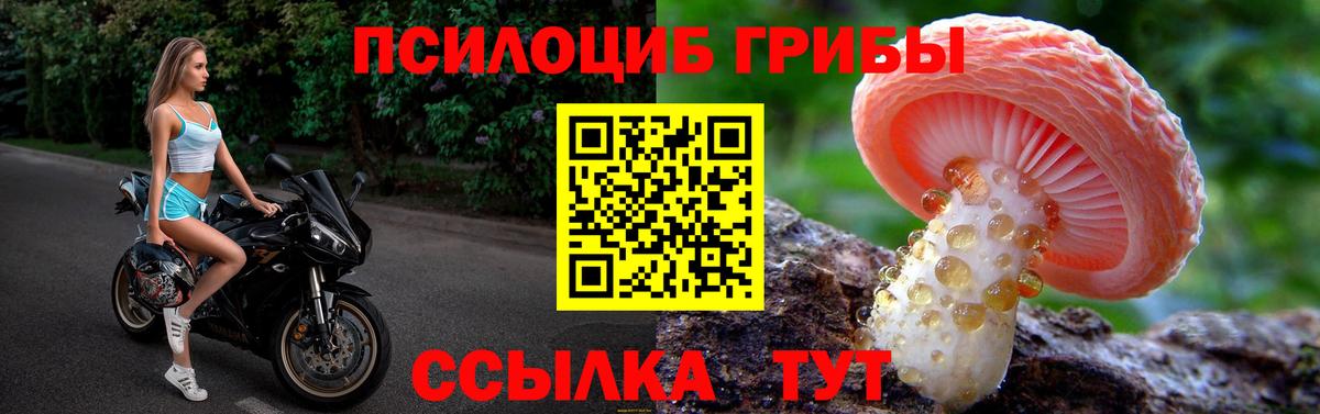 Галлюциногенные грибы мухоморы Чистополь